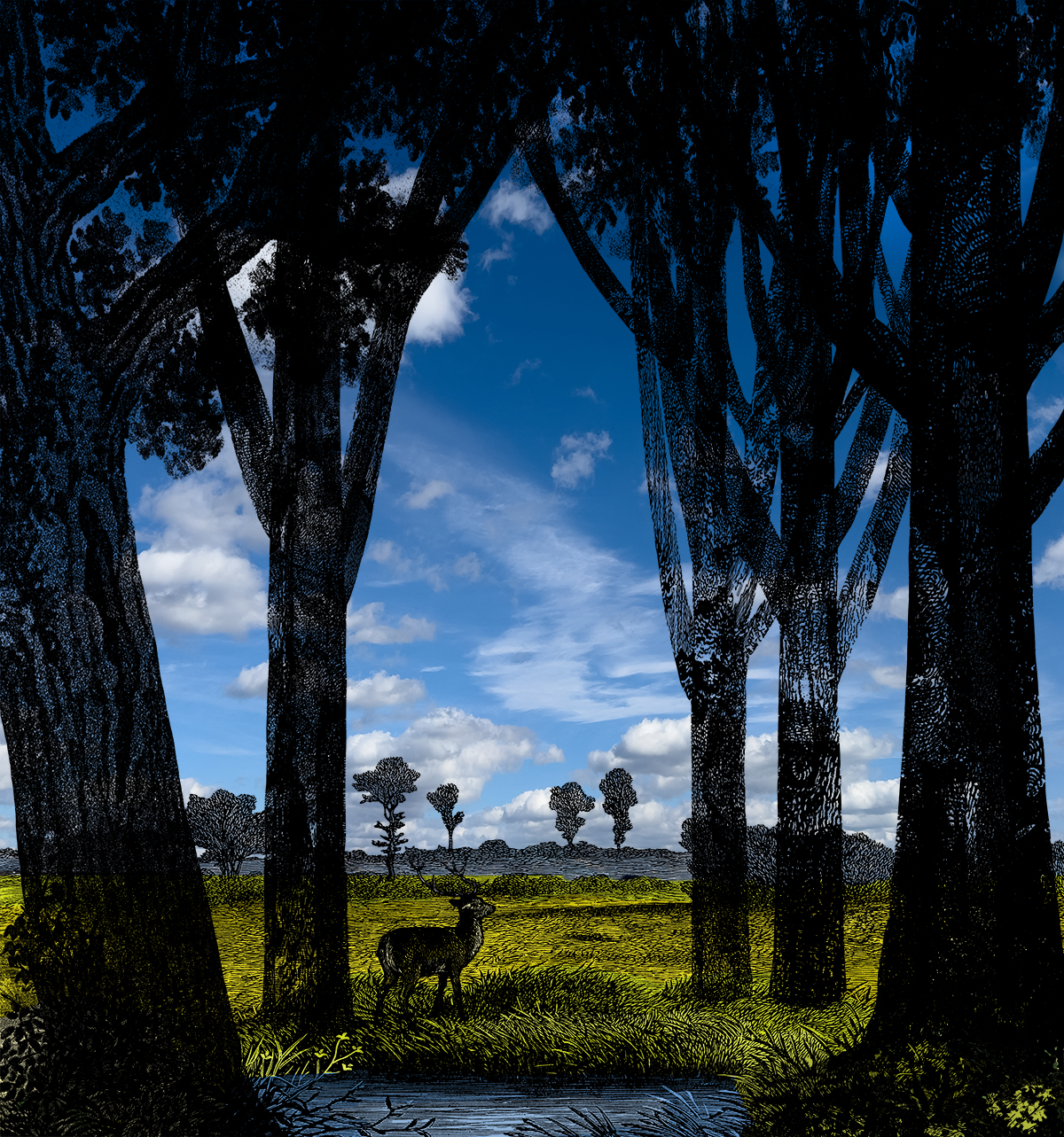 Sheltering Among Trees, 1/3 1 Sheltering Among Trees, 1/3