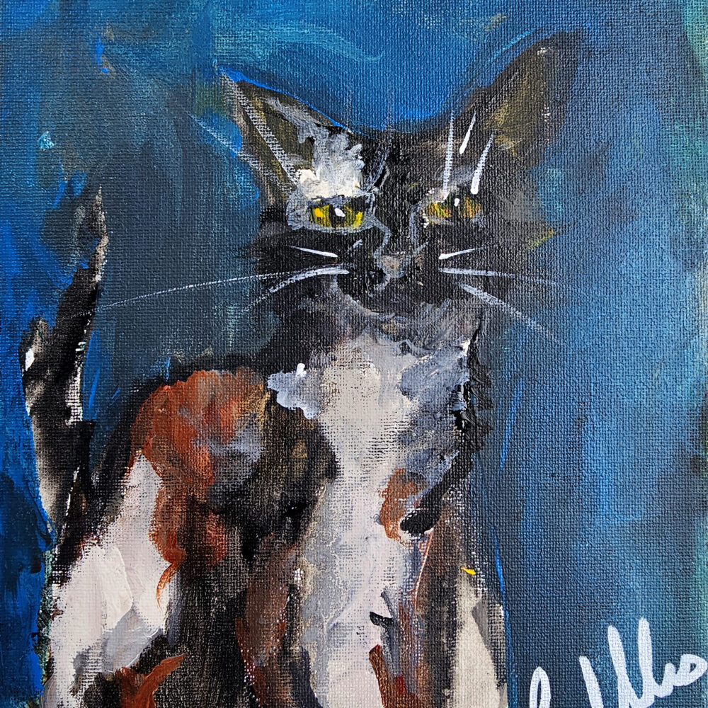Stinkster (The Kittyman Collection)