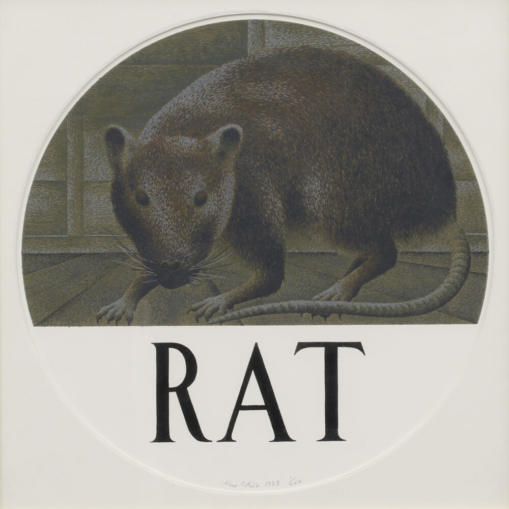 Rat 42/70