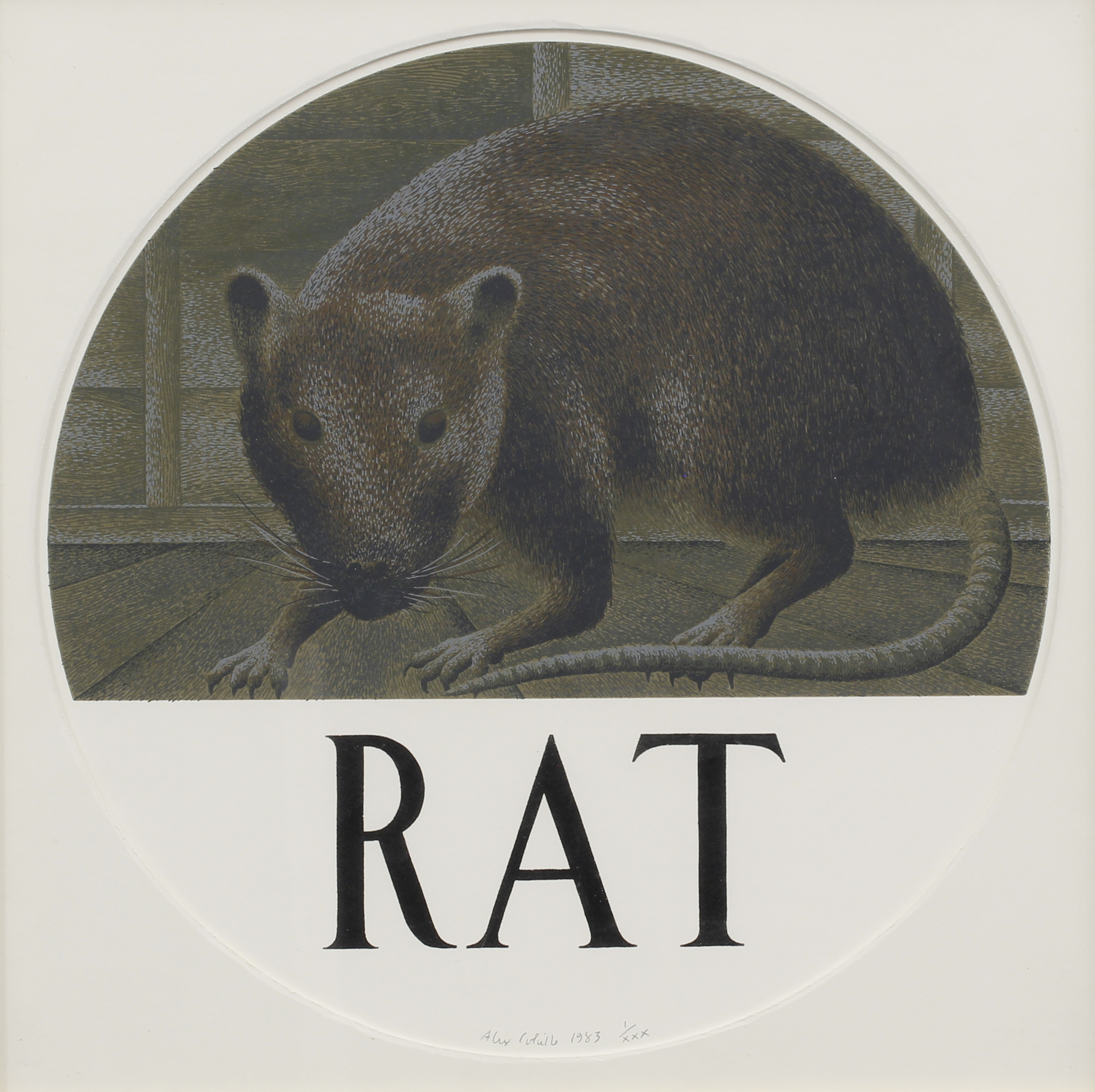 Rat 42/70 1 Rat 42/70