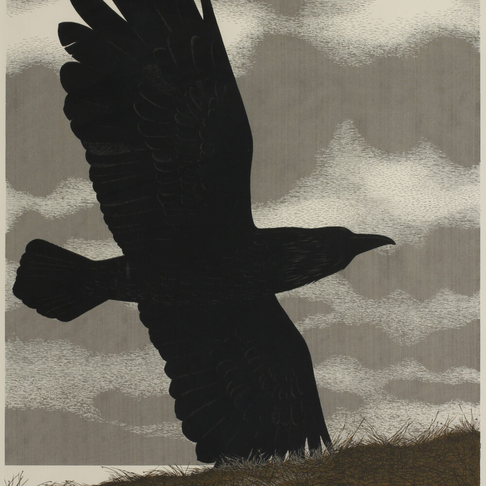 Raven 23/70