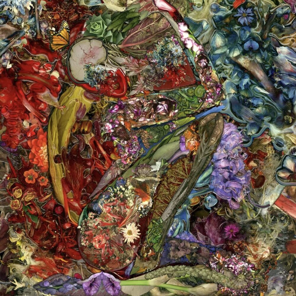 Muse