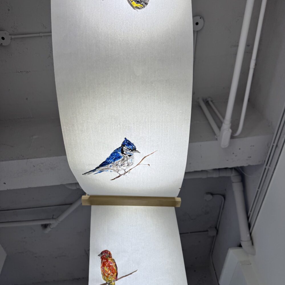 Backyard Birds SkyScroll 13 Backyard Birds Sky Scroll8 e1790437495673