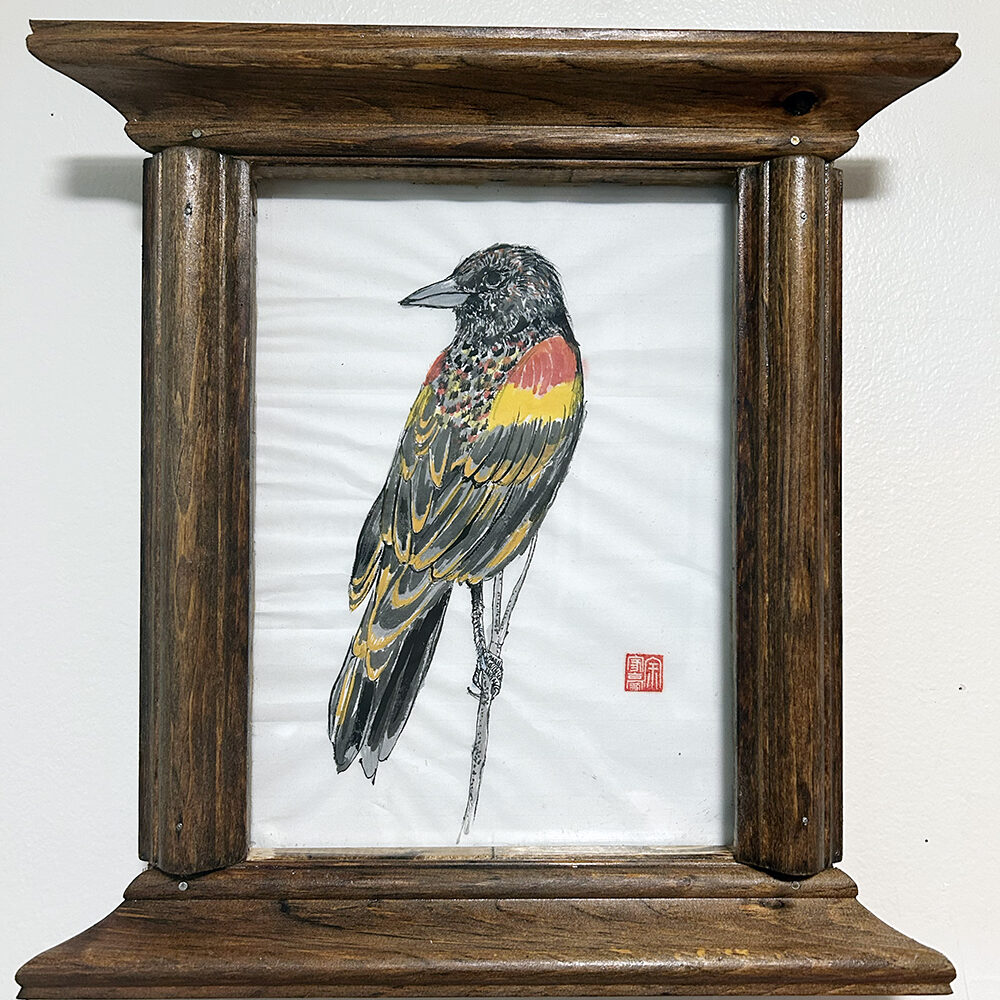 Redwing Black Bird in a Chinesey Frame