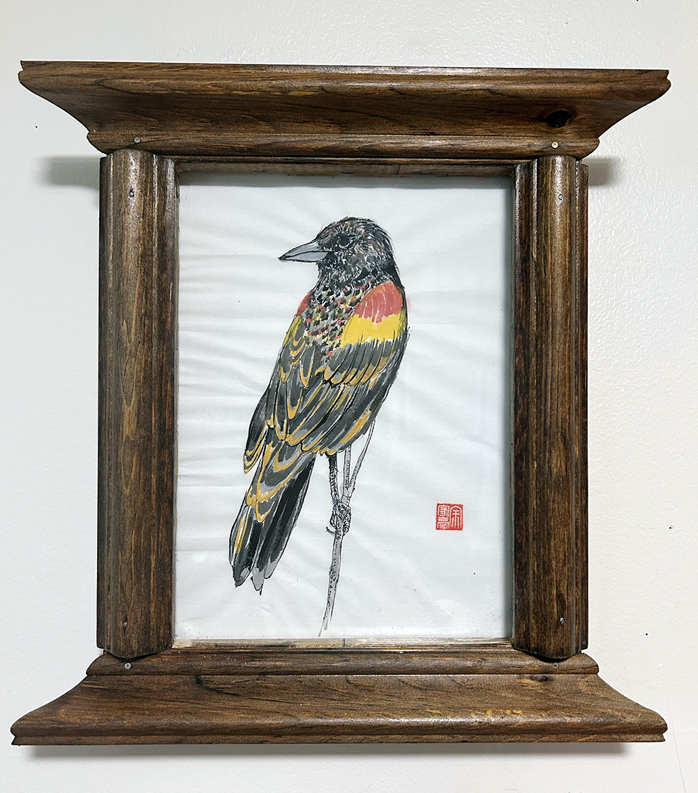 Redwing Black Bird in a Chinesey Frame 1 Redwing Black Bird in a Chinesey Frame