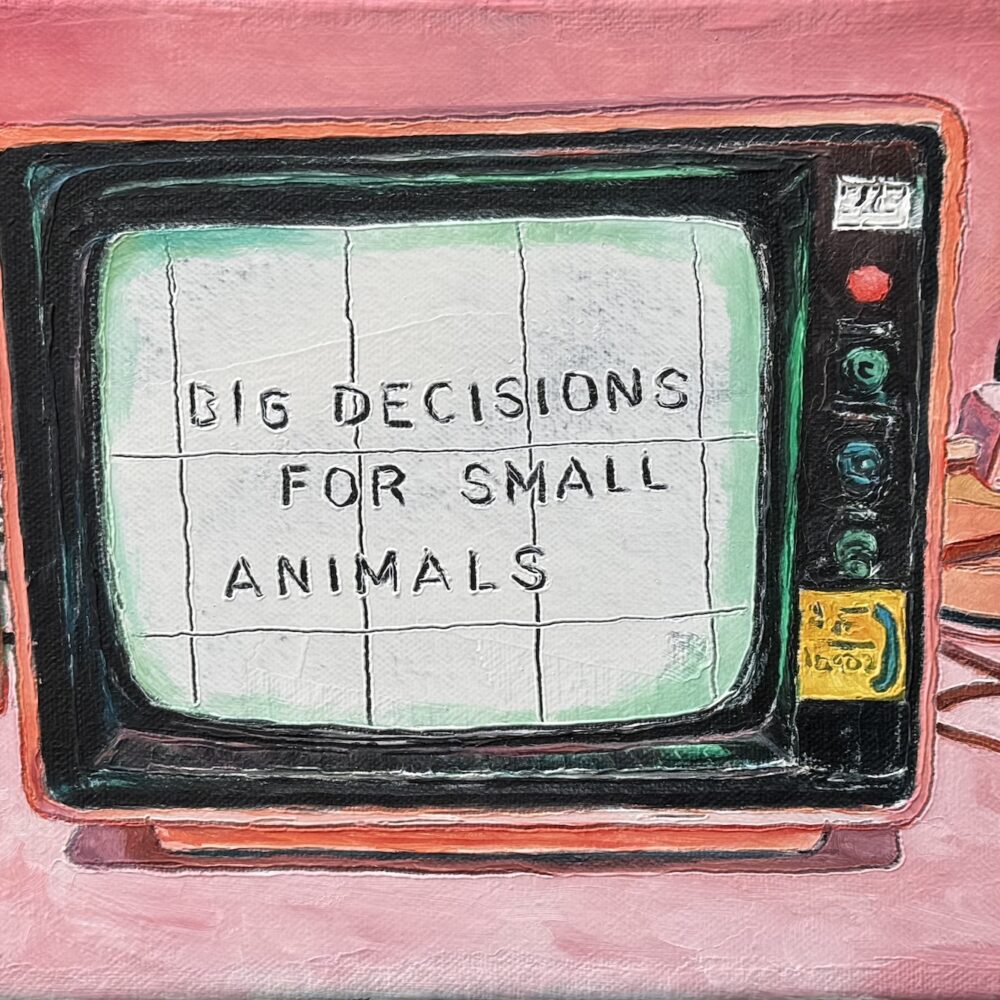 Big Decisions for Small Animals